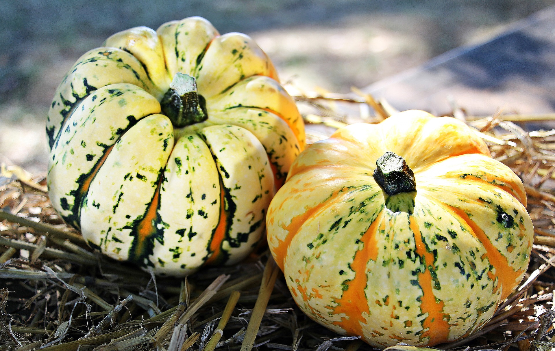 My Top 3 Autumnal Recipes