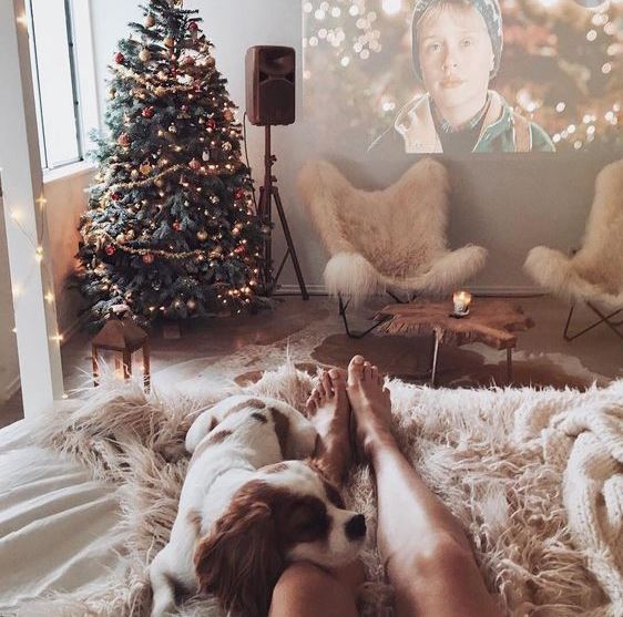 Christmas Movie